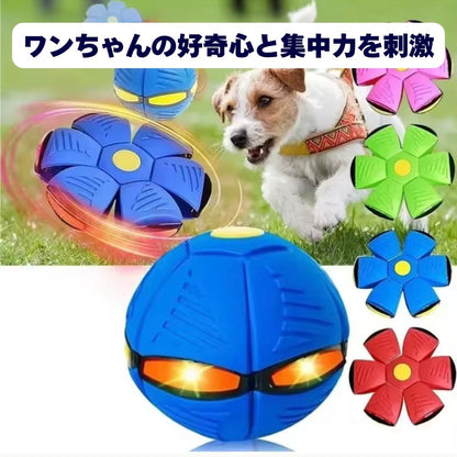 FlexiOrb™ - 子供もペットも夢中になる！変形フライングボール